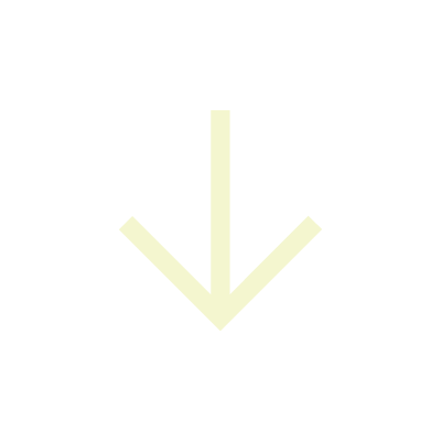 Icon Pfeil nach unten